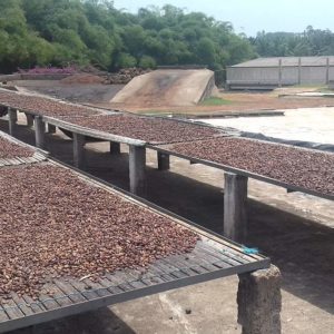 Due diligence ESG des activités de sourcing et négoce de cacao