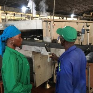 Lire la suite à propos de l’article Audit technique sur des projets agroindustriels en vue d’un financement